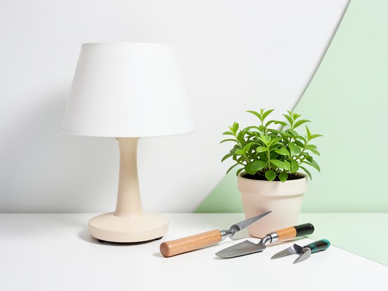 Home & Garden